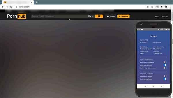Pangolin - Best Cyber Security Firewall Device for Home